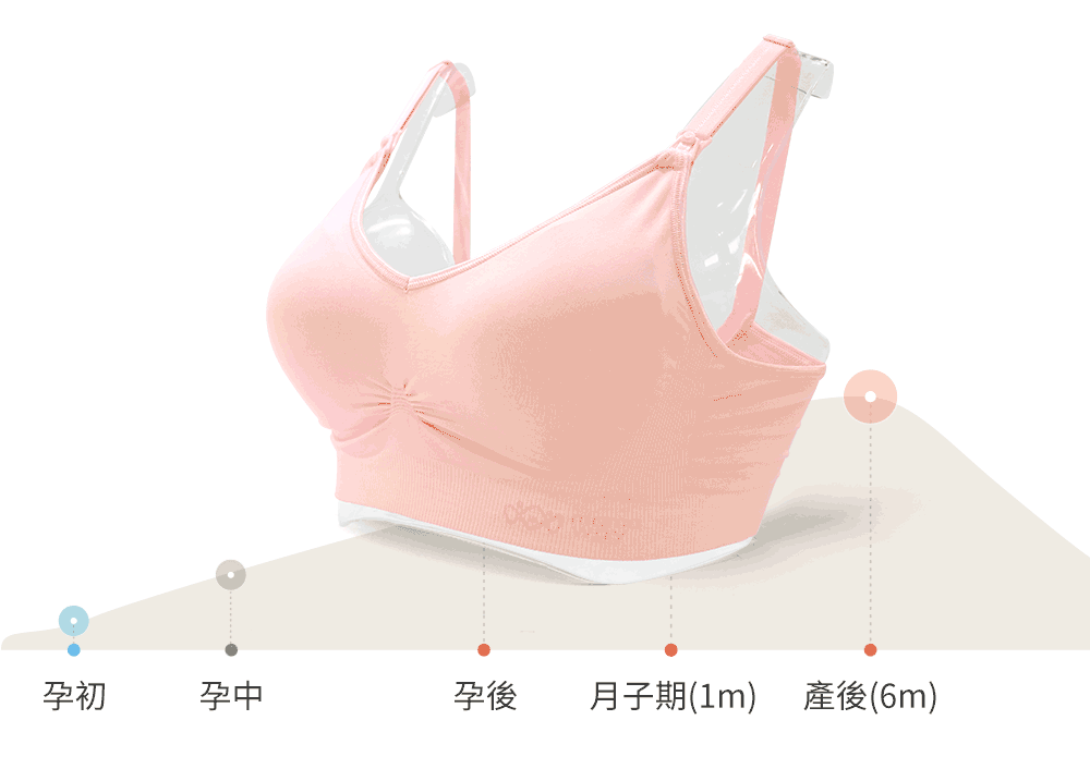 孕期 哺乳 內衣 內褲 塑身衣