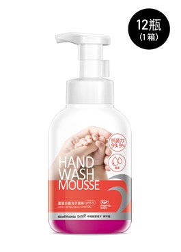 蘆薈抗菌洗手慕斯(12罐/箱) 箱購 - 