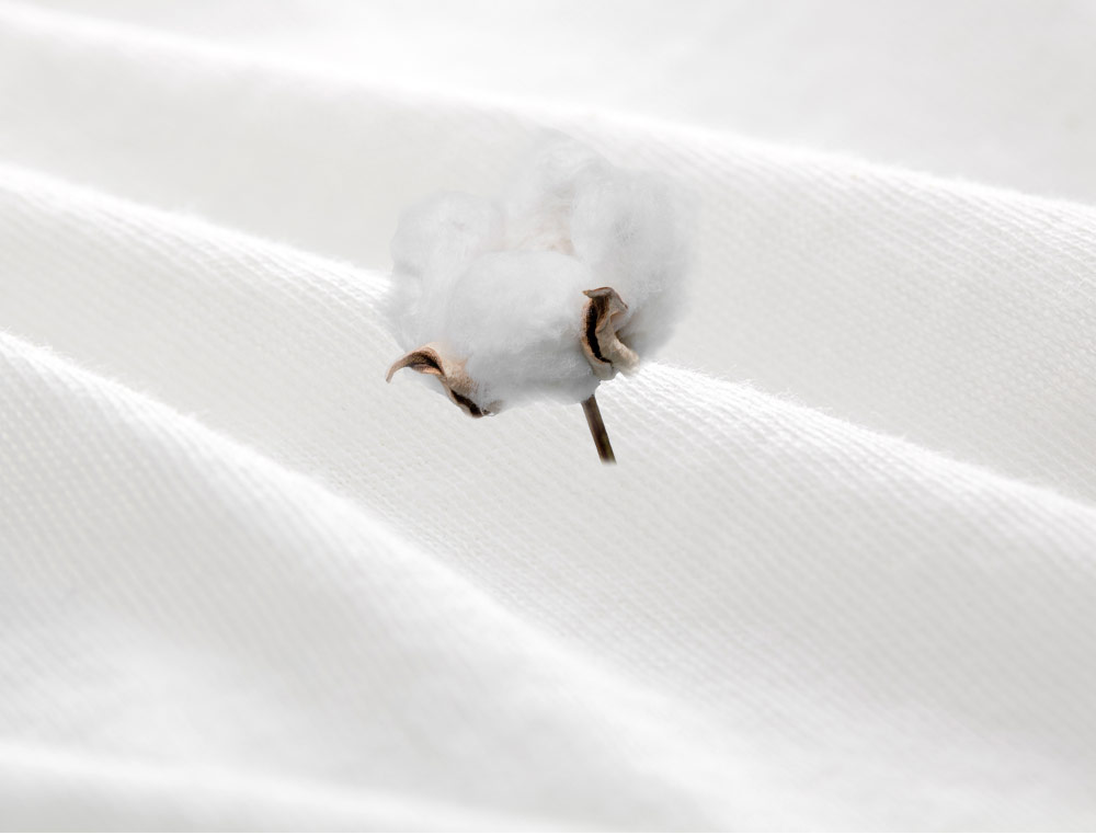 一次性衛生內褲4入組