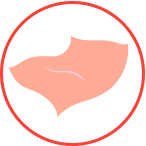 衛生護理產褥墊