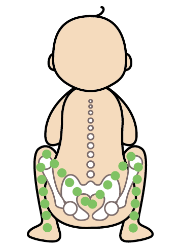 正確的骨盆位置應呈現M型腿